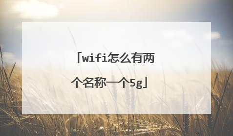 wifi怎么有两个名称一个5g