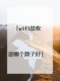 wifi接收器哪个牌子好