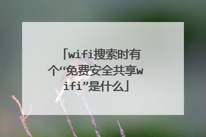 wifi搜索时有个“免费安全共享wifi”是什么