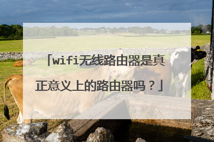 wifi无线路由器是真正意义上的路由器吗？