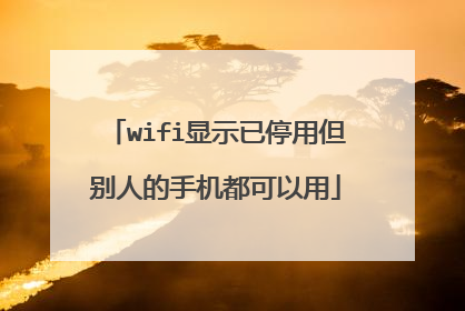 wifi显示已停用但别人的手机都可以用