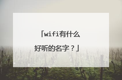 wifi有什么好听的名字？