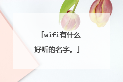 wifi有什么好听的名字。