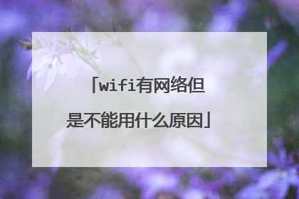 wifi有网络但是不能用什么原因