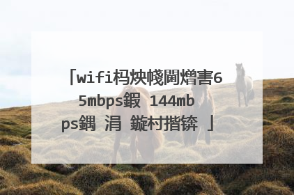 wifi杩炴帴閫熷害65mbps鍜�144mbps鍝�涓�鏇村揩锛�
