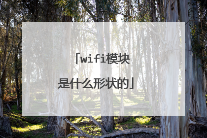 wifi模块是什么形状的