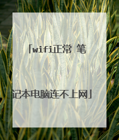wifi正常 笔记本电脑连不上网