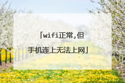 wifi正常,但手机连上无法上网