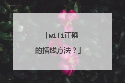 wifi正确的插线方法？