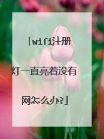wifi注册灯一直亮着没有网怎么办?