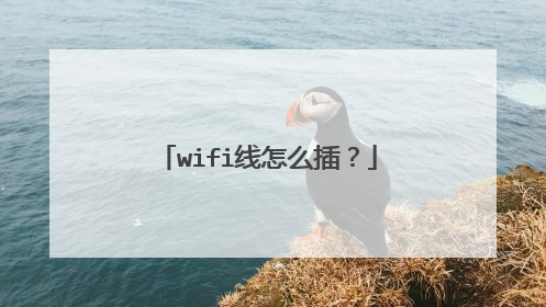 wifi线怎么插？