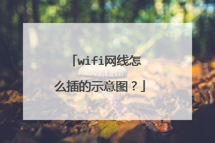 wifi网线怎么插的示意图?