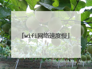 wifi网络速度慢