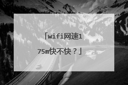 wifi网速175m快不快?