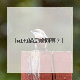 wifi猫是啥回事？