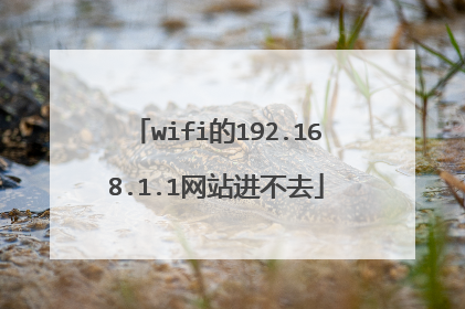wifi的192.168.1.1网站进不去