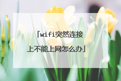 wifi突然连接上不能上网怎么办