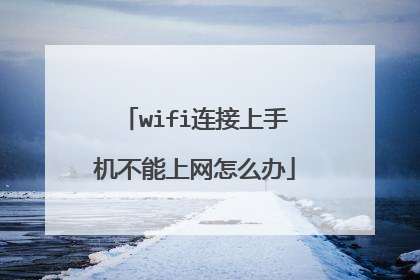 wifi连接上手机不能上网怎么办
