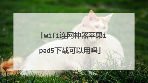 wifi连网神器苹果ipad5下载可以用吗