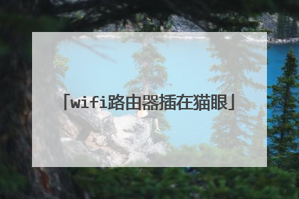 wifi路由器插在猫眼