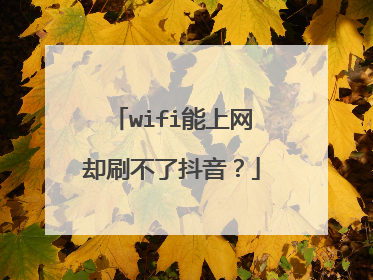 wifi能上网却刷不了抖音?