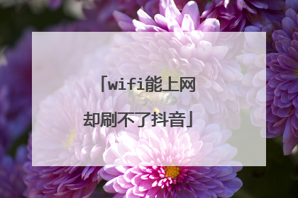 wifi能上网却刷不了抖音