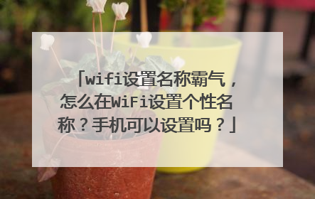 wifi设置名称霸气，怎么在WiFi设置个性名称？手机可以设置吗？