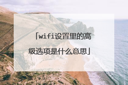 wifi设置里的高级选项是什么意思