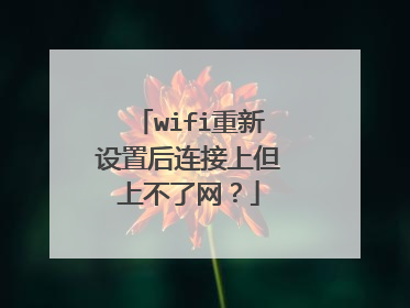 wifi重新设置后连接上但上不了网?