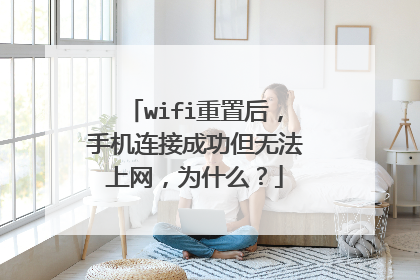 wifi重置后，手机连接成功但无法上网，为什么？