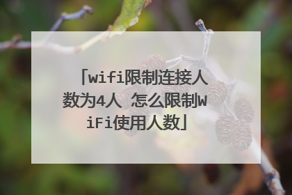 wifi限制连接人数为4人 怎么限制WiFi使用人数