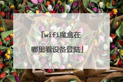 wifi魔盒在哪里看设备登陆