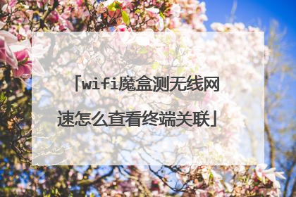 wifi魔盒测无线网速怎么查看终端关联