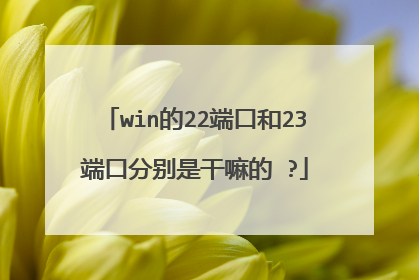 win的22端口和23端口分别是干嘛的 ?