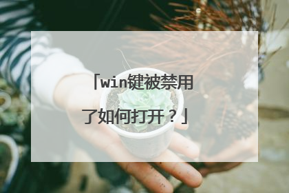 win键被禁用了如何打开?