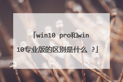 win10 pro和win10专业版的区别是什么 ?