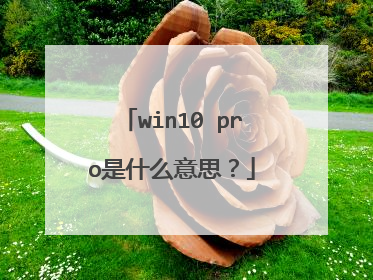 win10 pro是什么意思?