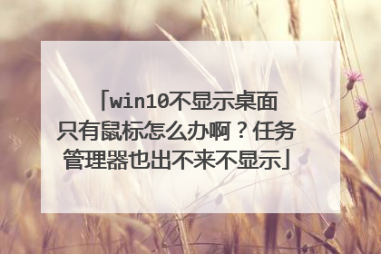 win10不显示桌面只有鼠标怎么办啊？任务管理器也出不来不显示