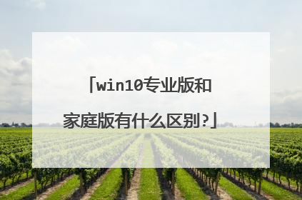 win10专业版和家庭版有什么区别?