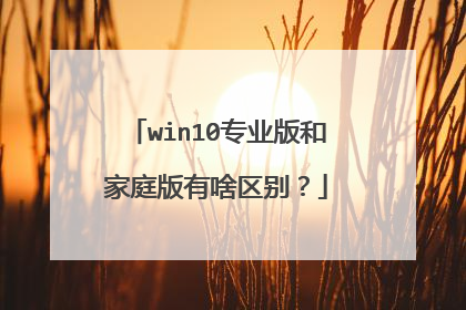 win10专业版和家庭版有啥区别?
