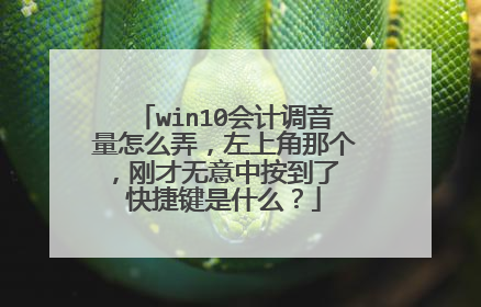 win10会计调音量怎么弄,左上角那个,刚才无意中按到了 快捷键是什么?