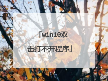 win10双击打不开程序