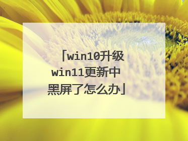 win10升级win11更新中黑屏了怎么办