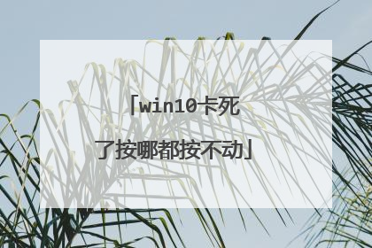 win10卡死了按哪都按不动