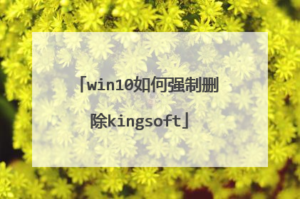 win10如何强制删除kingsoft