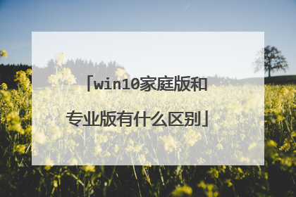 win10家庭版和专业版有什么区别