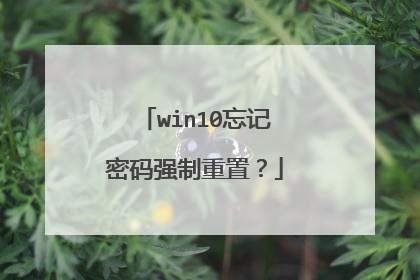 win10忘记密码强制重置?