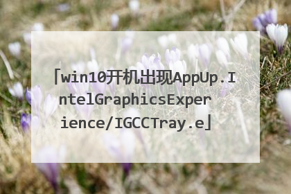 win10开机出现AppUp.IntelGraphicsExperience/IGCCTray.e