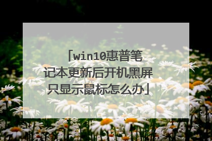 win10惠普笔记本更新后开机黑屏只显示鼠标怎么办