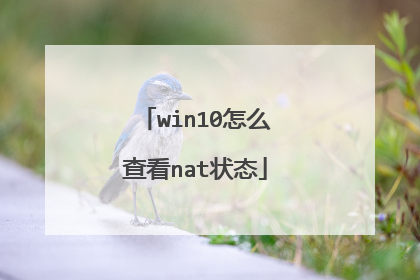 win10怎么查看nat状态